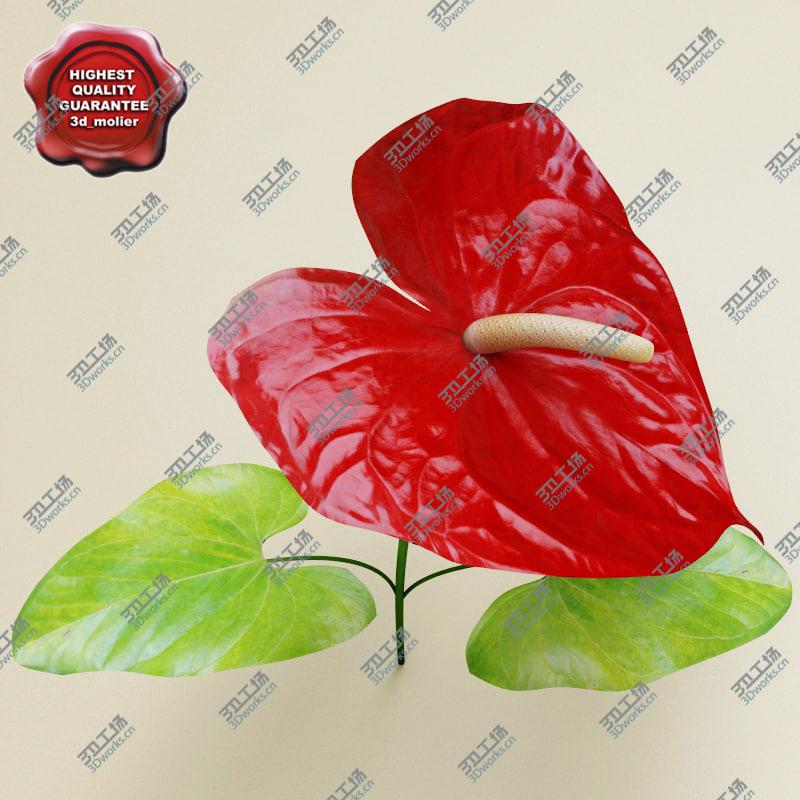 images/goods_img/2021040232/Flowers Collection V3/2.jpg